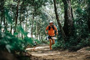 BIB: 
                            <button type="button" onclick="openModal(25394984)" class="btn btn-primary btn-sm float-right btn-popup" data-toggle="modal" data-target=".modal-high-quality">
                        <i class="fas fa-shopping-cart"></i> Add to Cart
                    </button>
                                            <button type="button" onclick="isThisMe(25394984, true)" class="btn btn-success btn-sm float-right btn-popup btn-isme hidden" data-toggle="tooltip" data-placement="bottom" title="นี่คือรูปของคุณใช่ไหม คลิกที่นี่เพื่อเอาเข้าอัลบั้ม">
                        <i class="fas fa-plus"></i> Add to album
                    </button>
                    <button type="button" onclick="isThisMe(25394984, false)" class="btn btn-warning btn-sm float-right btn-popup btn-isnotme hidden">
                        <i class="fas fa-ban"></i> Remove from album
                    </button>